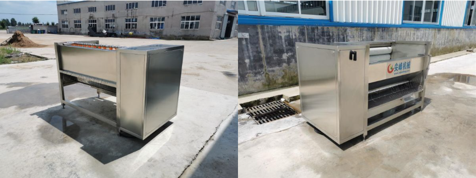 球根莖類去皮清洗機器設備