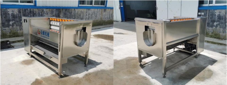 球根莖類去皮清洗機器設備