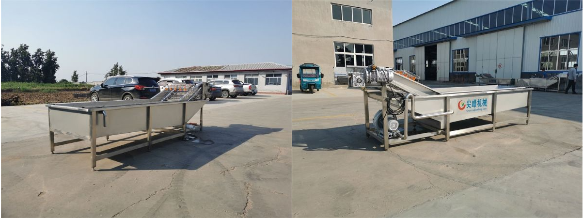 根莖類水浴氣泡清洗機器設備